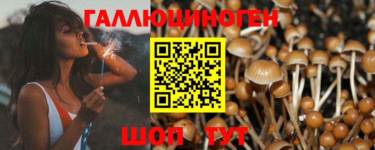 Галлюциногенные грибы GOLDEN TEACHER  Вход с VPN  Псилоцибиновые грибы Cubensis  Нефтекамск 