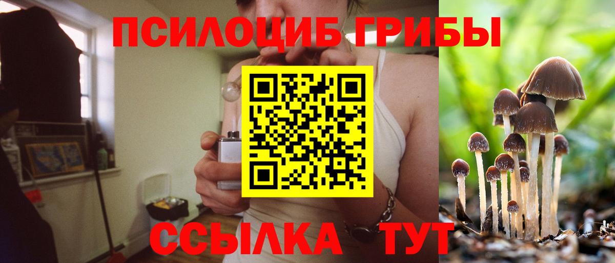 Галлюциногенные грибы прущие грибы Нефтекамск